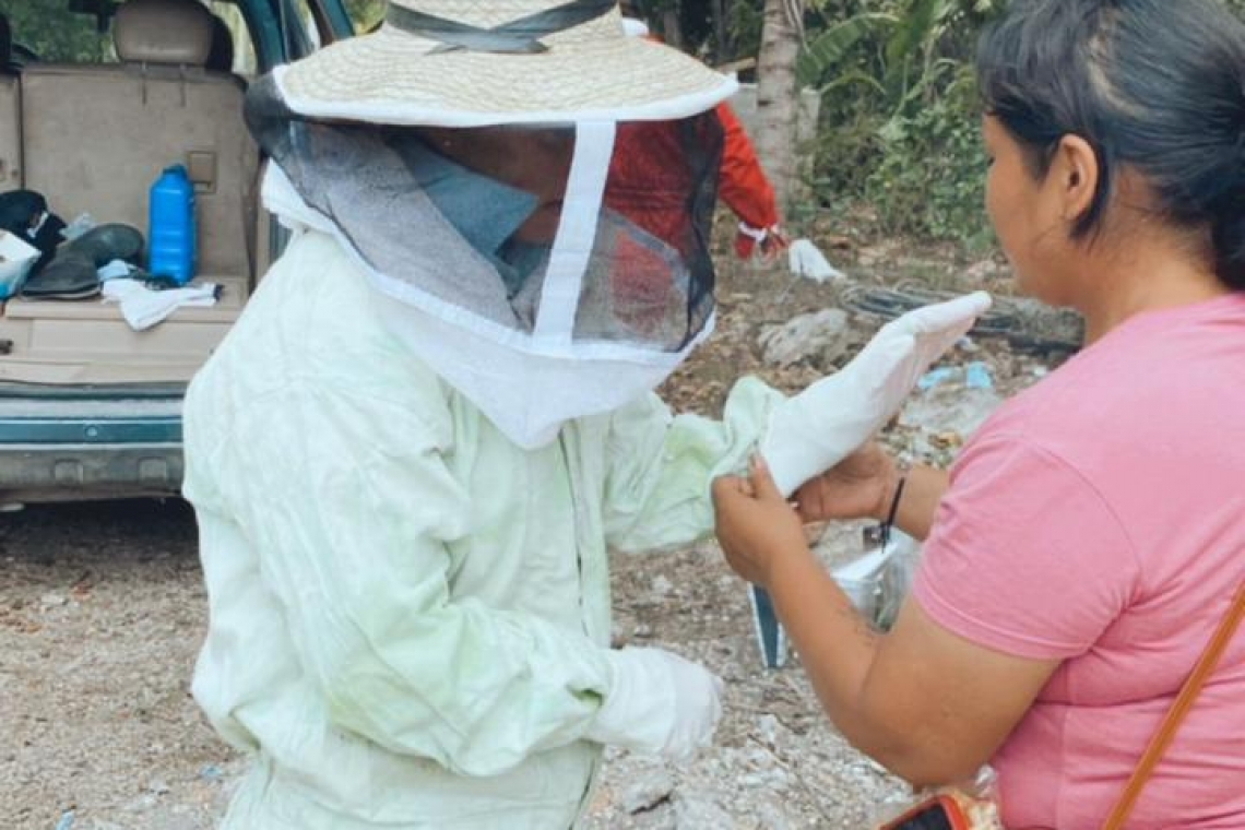 Federica Quijano Tapia llama a la ciudadanía a la preservación de las abejas.