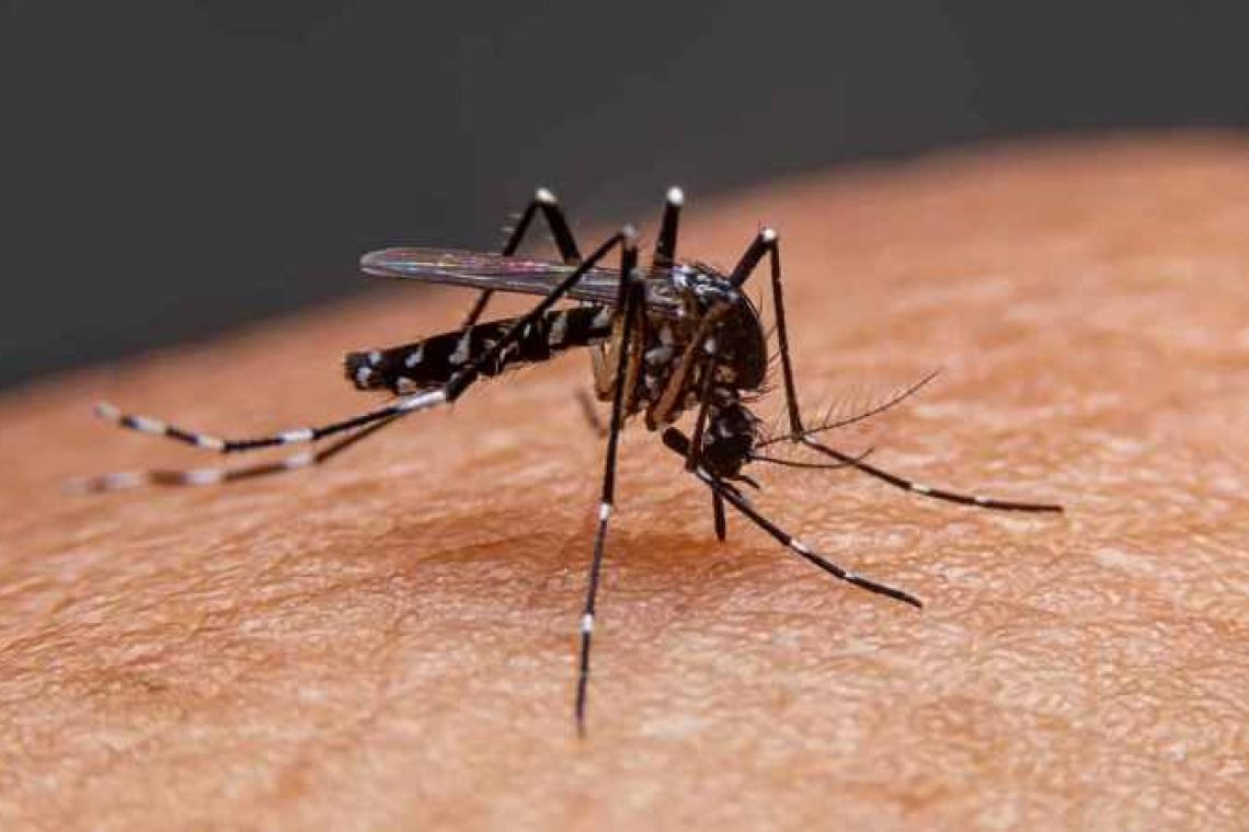 Alarmante aumento de casos de dengue