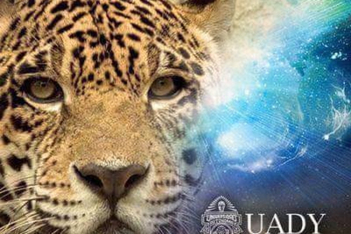 Más facilidades para ingresar a la UADY