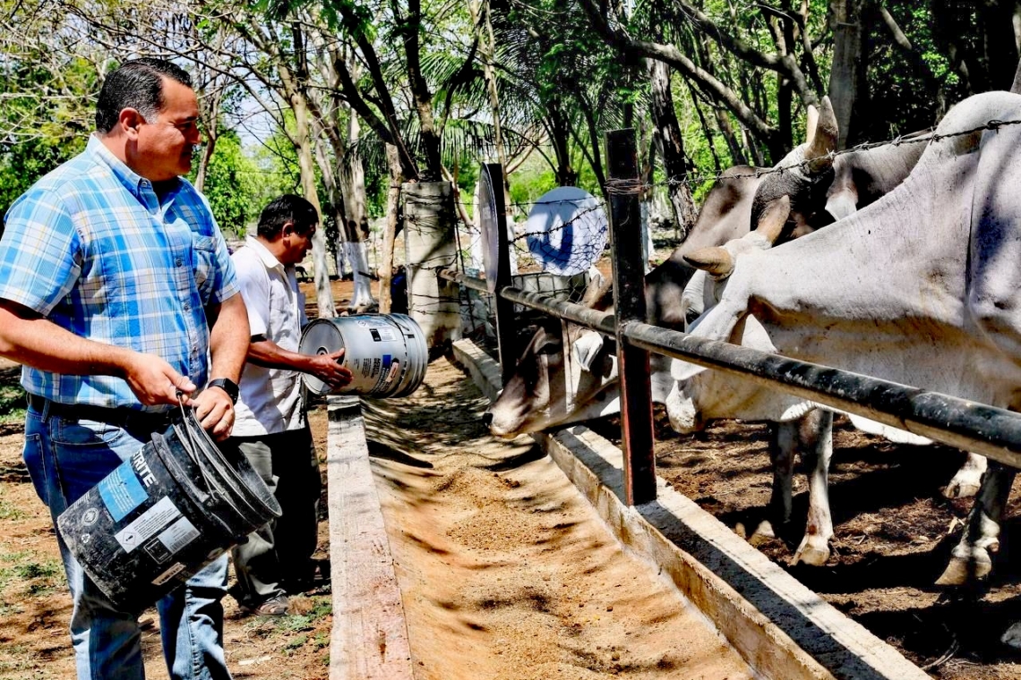 Renán Barrera apoya a productores de Mérida 