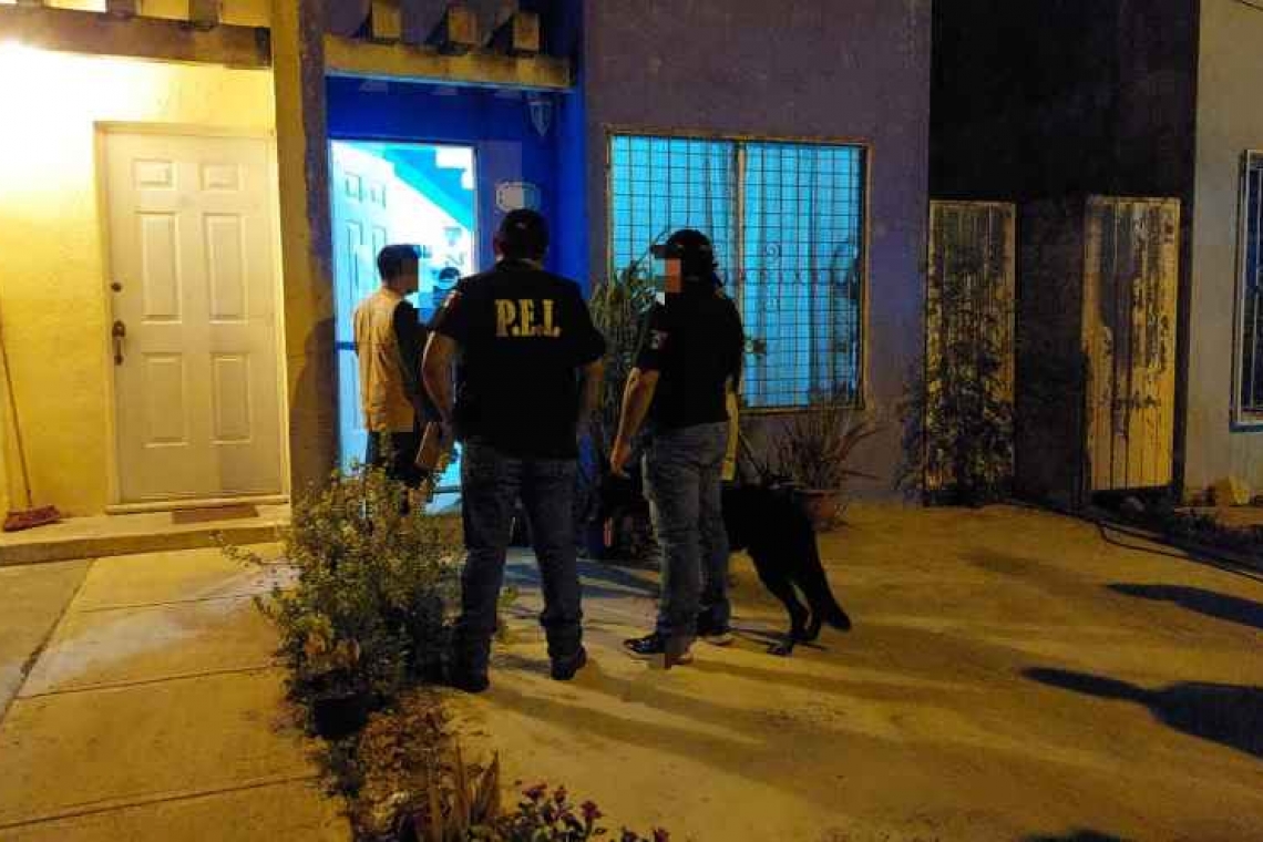 Al "bote" por cultivar mariguana en su casa.