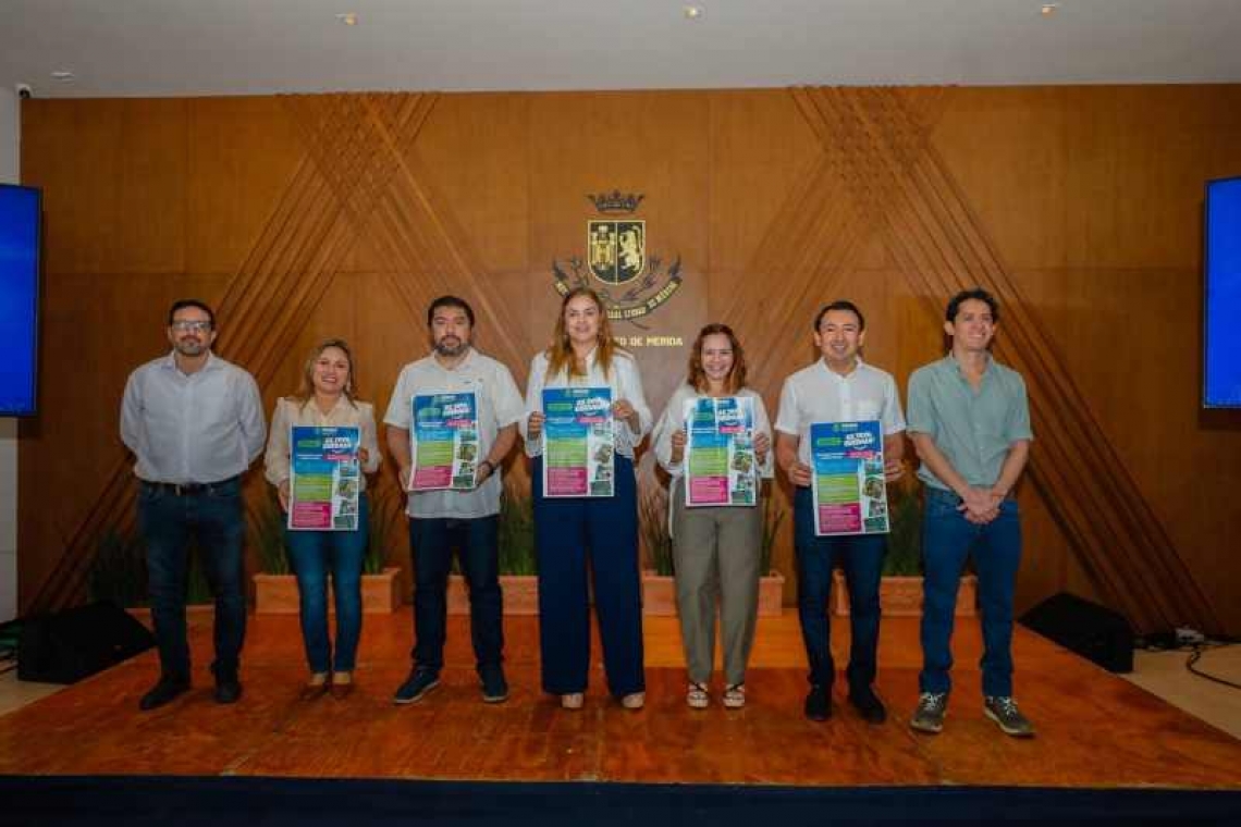 MERIDA MAS LIMPIA