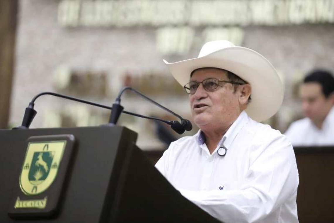 PRESENTAN INICIATIVA PARA PROTEGER LOS DERECHOS DE QUIENES DEPENDEN DE UNA PENSIÓN ALIMENTICIA
