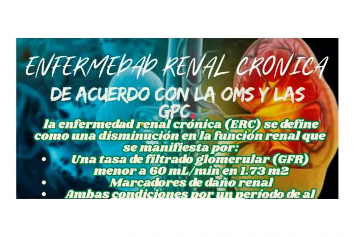 Formación especializada, clave contra la enfermedad renal en enfermería.