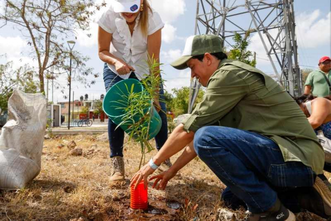  Impulsa Cecilia Patrón restauración de la cobertura forestal, el cuidado de ecosistemas y de la biodiversidad meridana.