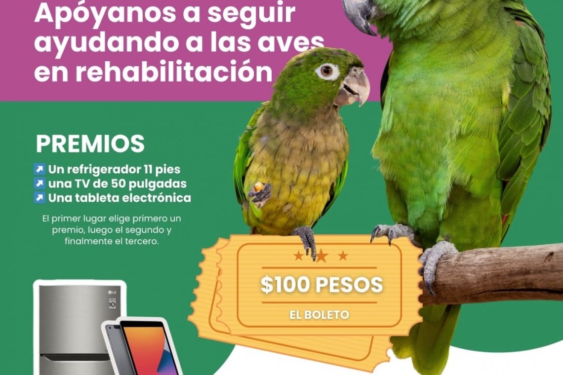 PROYECTO SANTA MARIA QUIERE ALAS PARA SEGUIR: INVITA A SU RIFA DE MITAD DEL AÑO