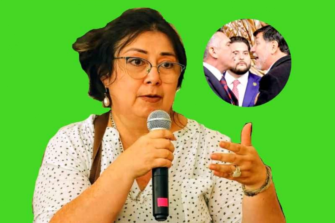 LOS PORROS Y LAS TESIONES DE LA POLITICA EN EL SENADO.