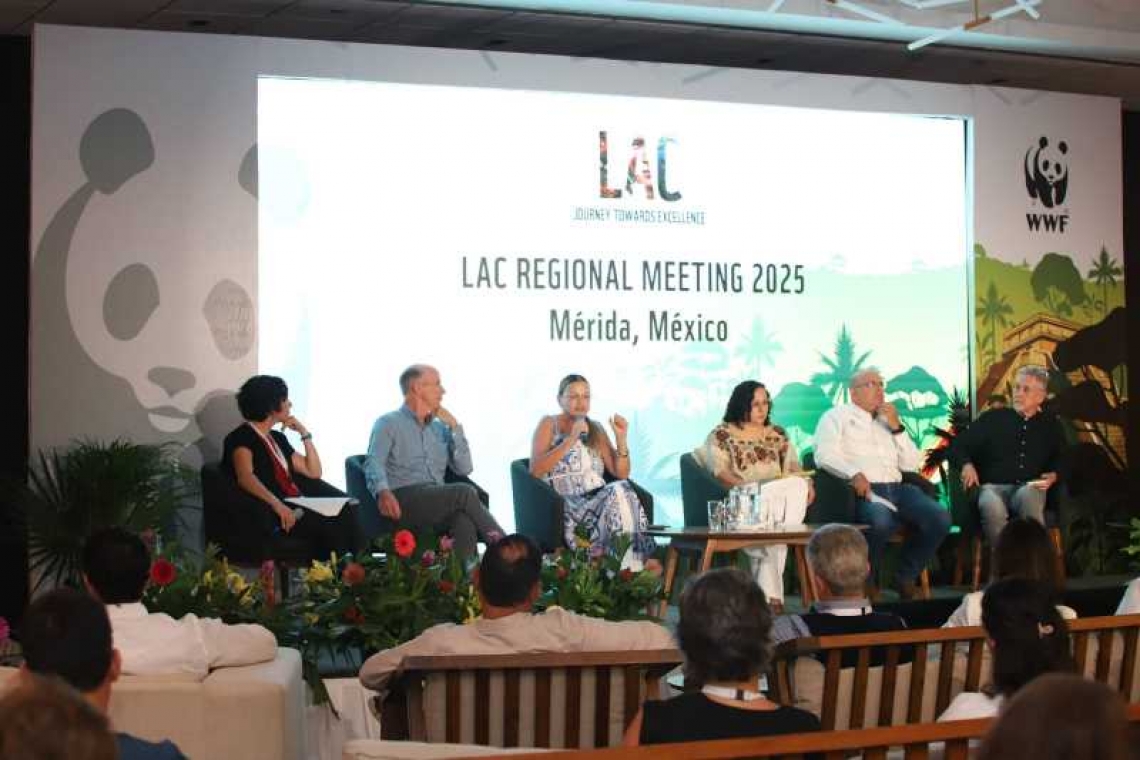 En Mérida impulsamos un modelo de participación ciudadana para ordenar la ciudad y cuidar nuestro medio ambiente: Cecilia Patrón.