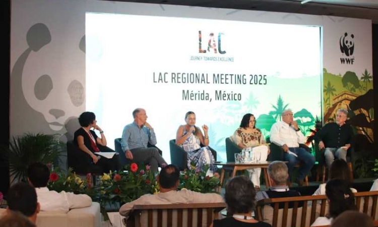 En Mérida impulsamos un modelo de participación ciudadana para ordenar la ciudad y cuidar nuestro medio ambiente: Cecilia Patrón.