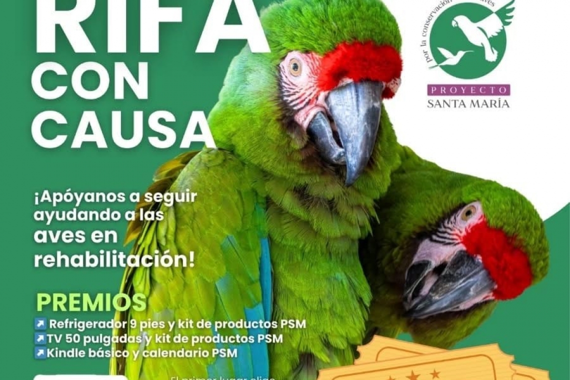 ÚLTIMA RIFA DEL AÑO EN BENEFICIO DE 200 LOROS RESCATADOS