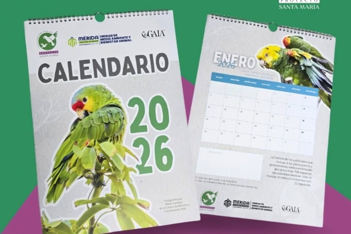 PROYECTO SANTA MARIA LANZA SU CALENDARIO DE LOROS 2026