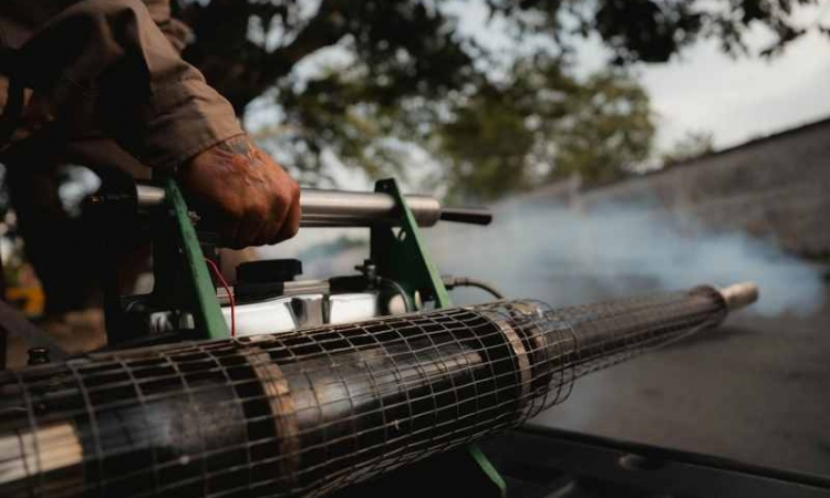 Refuerzan llamado preventivo ante casos de chikungunya