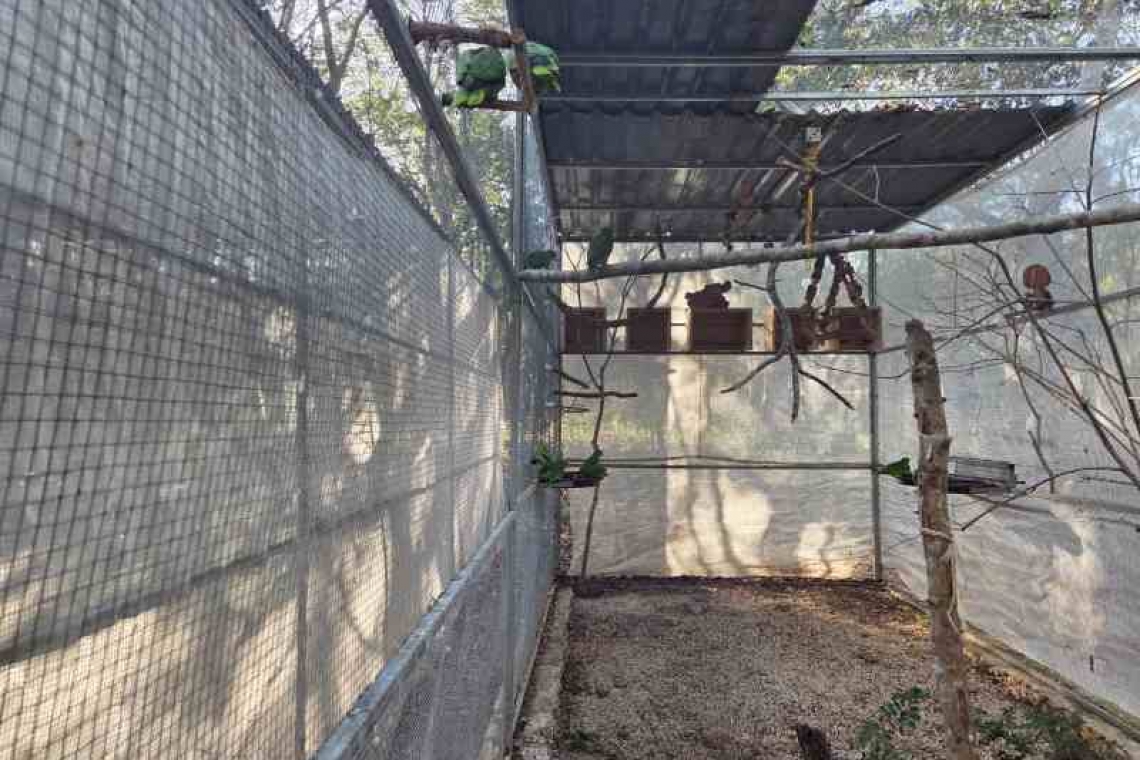  TRABAJOS A MARCHAS FORZADAS PARA PROTEGER DEL FRÍO A LOS LOROS EN REHABILITACIÓN