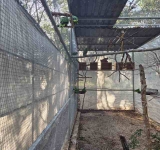 Lanza Cecilia Patrón decálogo para mantener el orden en los espacios públicos y urbanoS.