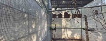  TRABAJOS A MARCHAS FORZADAS PARA PROTEGER DEL FRÍO A LOS LOROS EN REHABILITACIÓN