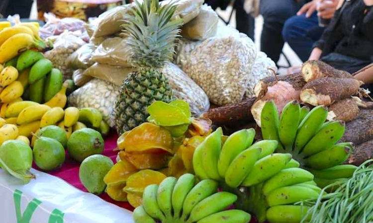 Regresa el Mercado Renacer del Campo Yucateco al Parque La Plancha