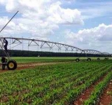   EN EL MARCO DEL 8M AFIRMAN QUE EL RENACIMIENTO MAYA ES UN ALIADO DE LAS MUJERES.