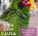 “EN EL PRI NO HAY ESPACIO PARA CORRUPTOS NI TRAIDORES”: GASPAR QUINTAL