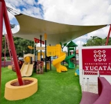   Yucatán concreta primer envío histórico de mamey al Reino Unido.