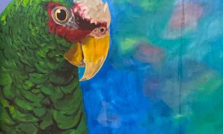 EL NUEVO MODULO DE ATENCION VETERINARIO DE PROYECTO SANTA MARIA YA TIENE SU PROPIO GUARDIAN.