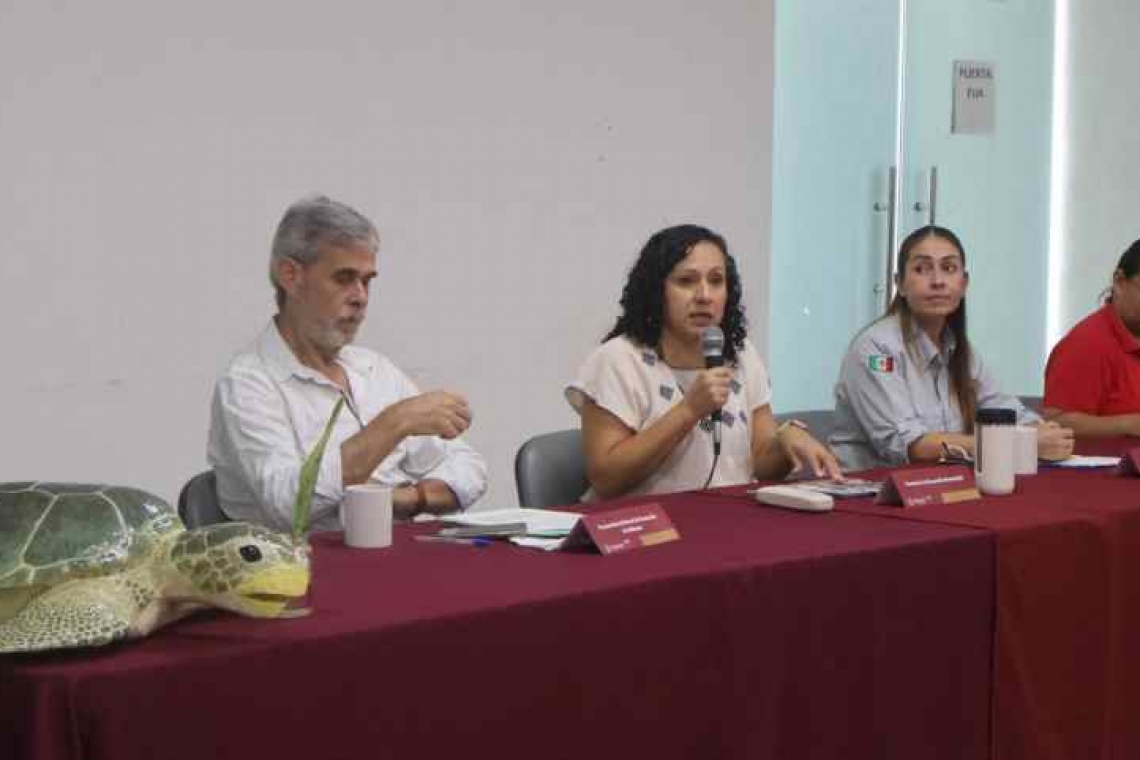  Inicia temporada de anidación de tortugas marinas con protección en 279 kilómetros de costa yucateca