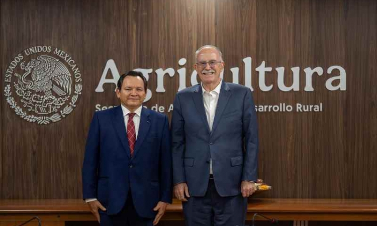 YA LE TOCA AL CAMPO, HAY VIENE EL APOYO GUBERNAMENTAL.