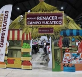 278 MAS PLAZAS PARA DOCTORES ESPECIALISTAS