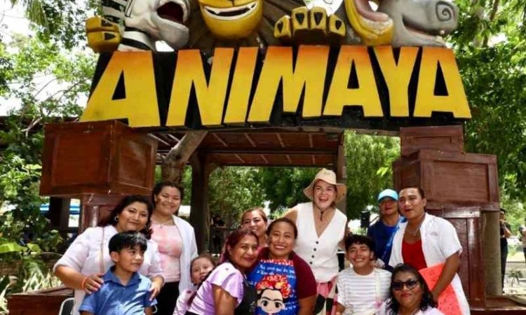 ANIMAYA;16 AÑOS DE SERVIR A LOS MERIDANOS.