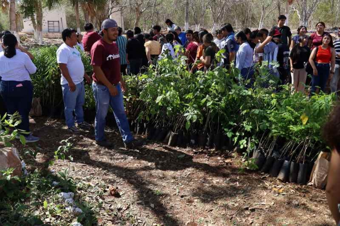 REVERDECE LA UTP CON EL PROGRAMA 