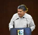 AVANZA CECILIA PATRON EN LA PROTECCION DE LOS ARBOLES MERIDANOS AL DECLARARLOS PATRIMONIO DE LA CIUDAD.