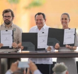 AVANZA CECILIA PATRON EN LA PROTECCION DE LOS ARBOLES MERIDANOS AL DECLARARLOS PATRIMONIO DE LA CIUDAD.