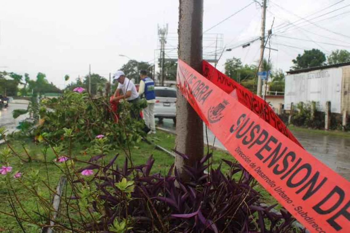  AYUNTAMIENTO DE MÉRIDA DENUNCIA ARBORICIDIO EN CIRCUITO COLONIAS ORIENTE.